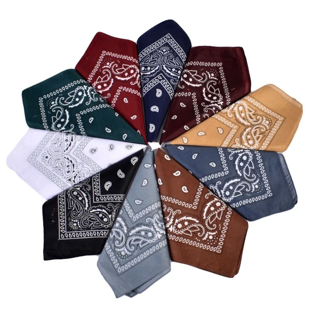 Hip Hop Cowboy Paisley Scarf L - Ascot Neck Scarf avaliação e preço